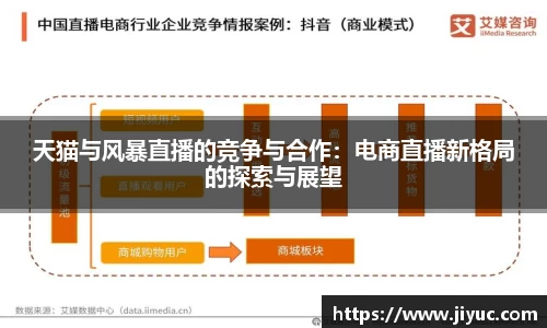 天猫与风暴直播的竞争与合作：电商直播新格局的探索与展望